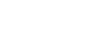 金蝶.png